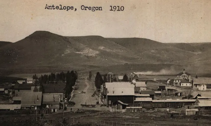 Antelope Market Picture 2
