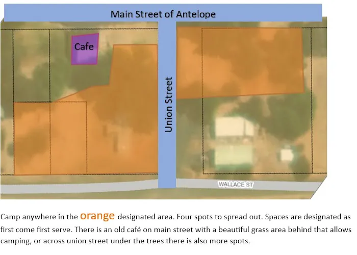 Antelope Market Picture 5
