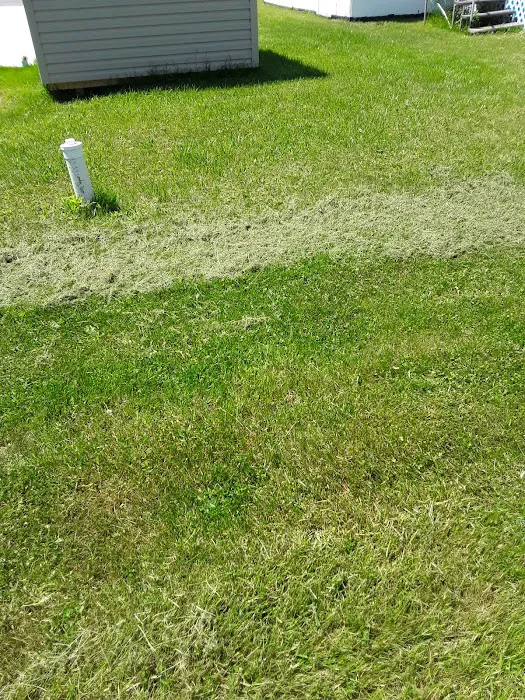 Sky Harbor Picture 2