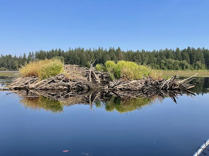 Log Cabin Resort Picture 3