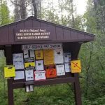 Canyon Creek Campground