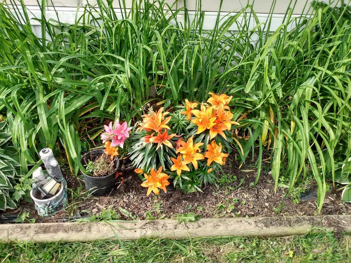 Dorwood Mobile Home Park Picture 7