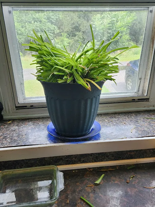 Dorwood Mobile Home Park Picture 2