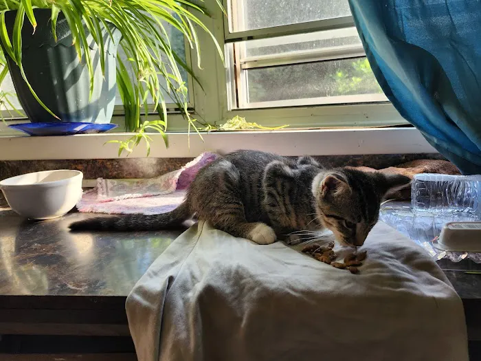 Dorwood Mobile Home Park Picture 4