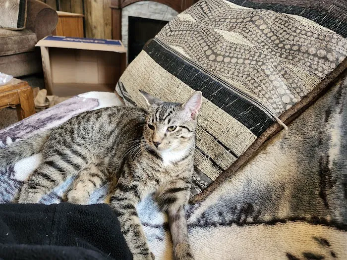 Dorwood Mobile Home Park Picture 9