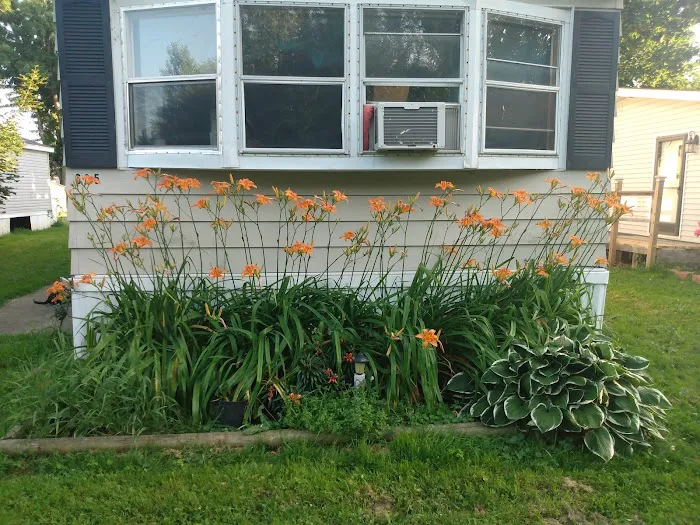 Dorwood Mobile Home Park Picture 8