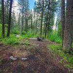 Lake Ellen East Campground
