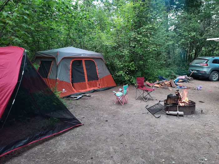 Lake Ellen East Campground Picture 7