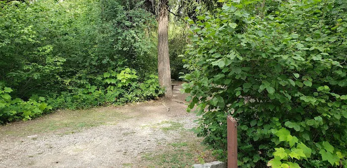 Lake Ellen East Campground Picture 4