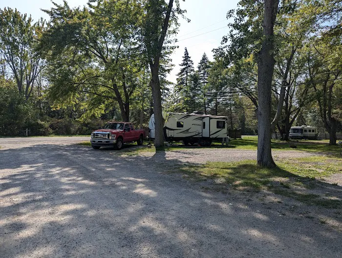 Willow Beach RV Park Picture 6