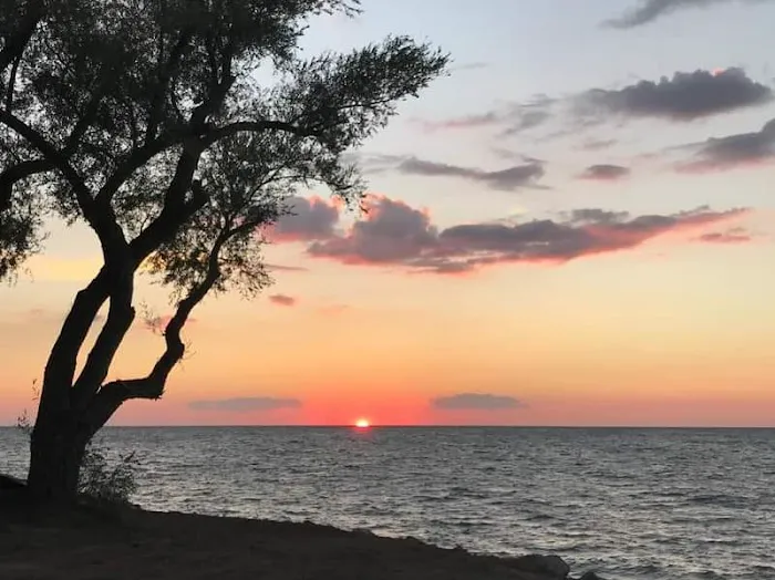 Willow Beach RV Park Picture 8