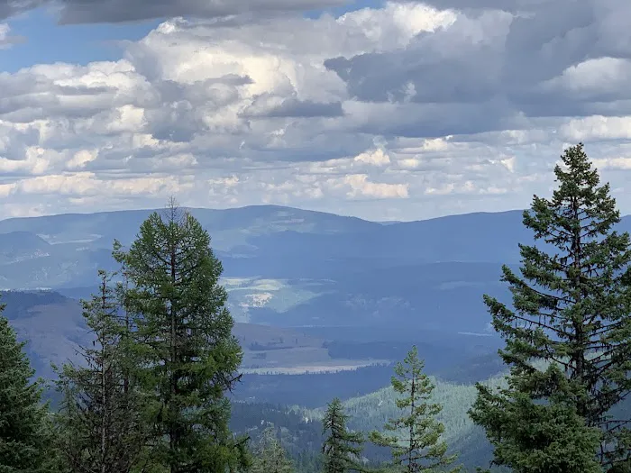 Davis Lake Campground Picture 8