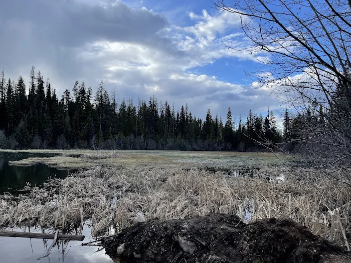 Davis Lake Campground Picture 4