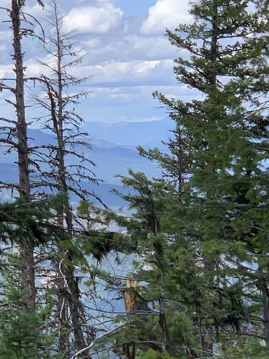 Davis Lake Campground Picture 7