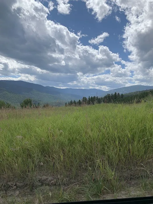 Davis Lake Campground Picture 2