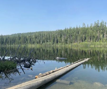 Davis Lake Campground