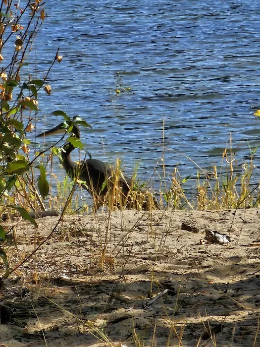 Haag Cove Campground Picture 6