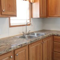 Cayuga Village Inc ico