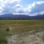 Kettle Falls Locust Grove Group Site Campground