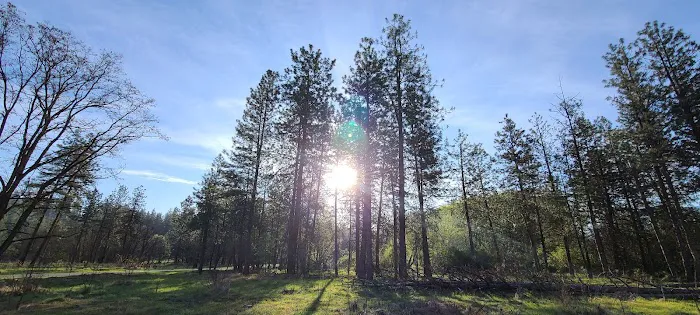 Kettle Falls Locust Grove Group Site Campground Picture 10