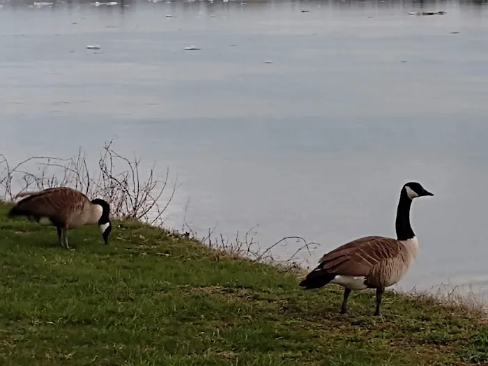 Lynch Park River Point Picture 7