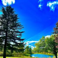 Old Kettle Falls Picnic Area ico