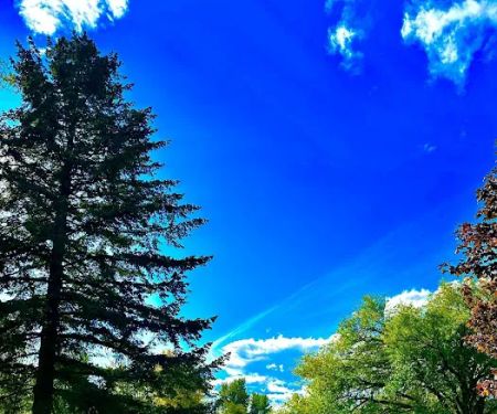 Old Kettle Falls Picnic Area