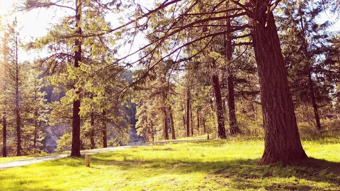 Kamloops Island Campground Picture 9