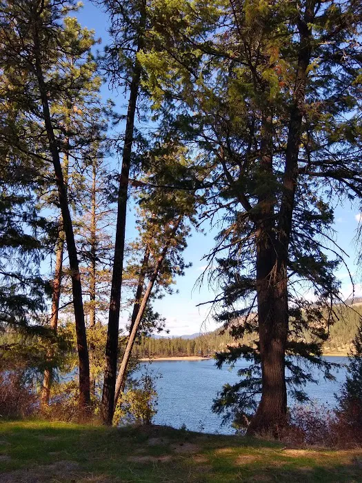 Kamloops Island Campground Picture 7