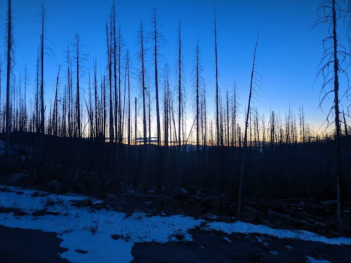 Deer Creek Forest Camp Picture 1