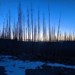 Deer Creek Forest Camp