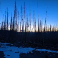 Deer Creek Forest Camp ico
