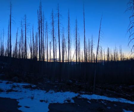 Deer Creek Forest Camp
