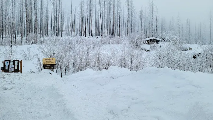 Deer Creek Forest Camp Picture 5