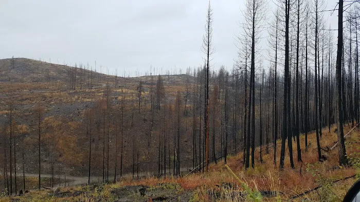 Deer Creek Forest Camp Picture 6