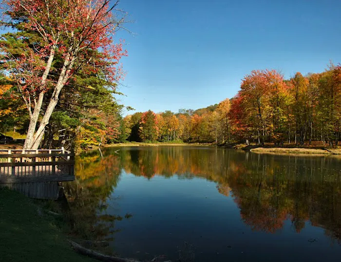 Allegany Mountain Resort at Rainbow Lake Picture 3