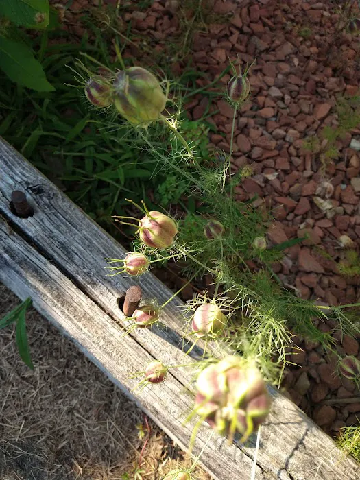 Melody Meadows Estates Picture 5