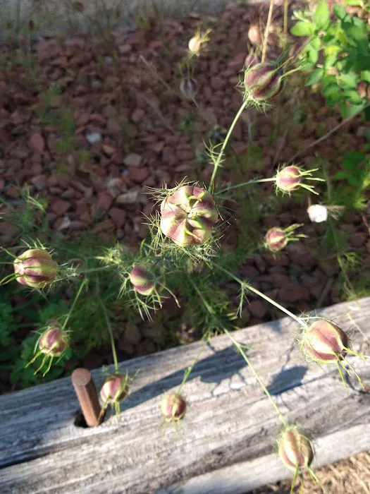 Melody Meadows Estates Picture 1