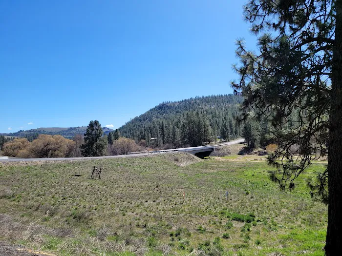 Hawk Creek Campground Picture 9