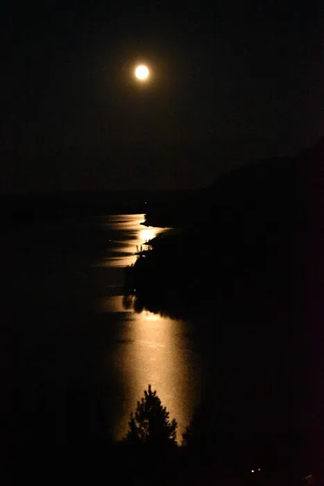 McCoy's Marina Picture 5
