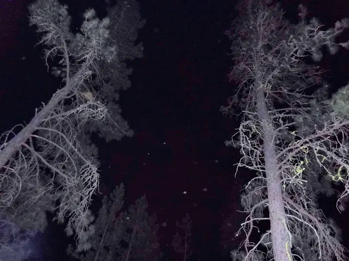 Rogers Bar Exit Picture 1