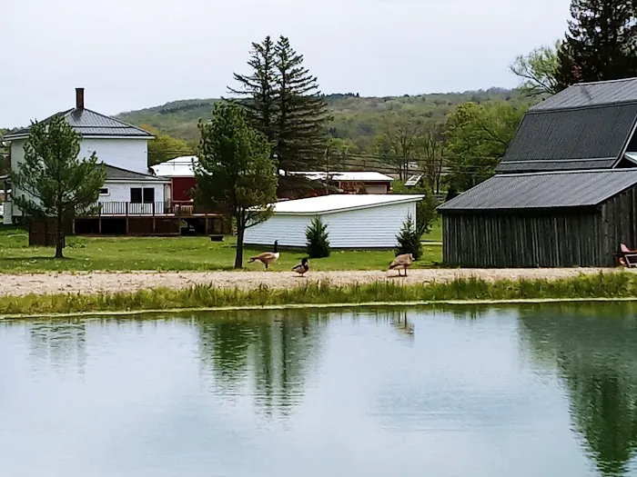 Misty Mountains Park Picture 1