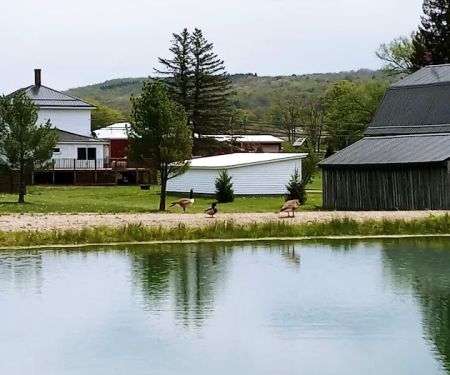 Misty Mountains Park