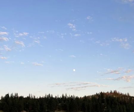 Center of Life Church Property