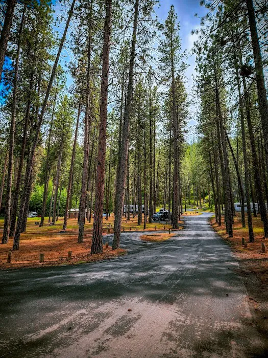 Porcupine Bay campground Picture 5