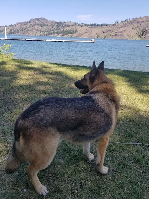 Porcupine Bay campground Picture 7