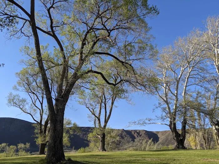 Sun Lakes State Park Campground Picture 9