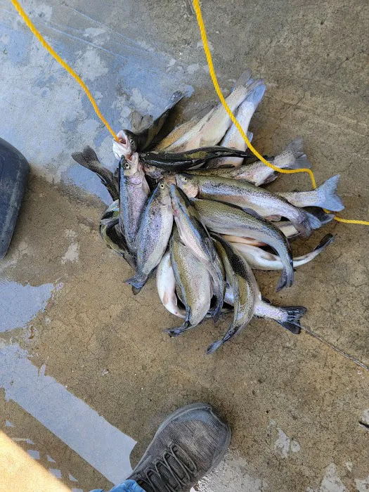 Sun Lakes State Park Campground Picture 3