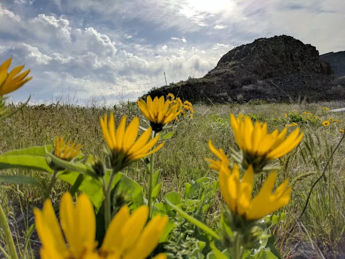 Coulee Lodge Resort Picture 8