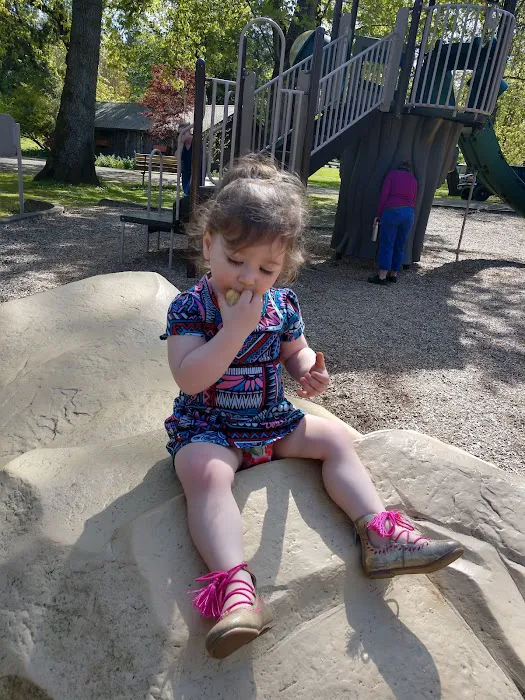 Pioneer Park Picture 2